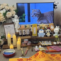 宠物家长客户见证