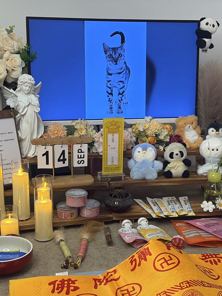 威海宠物殡葬门店告别厅环境